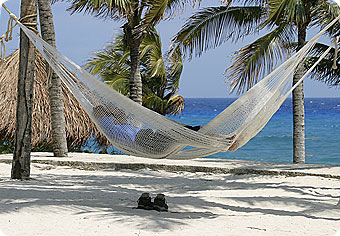 interalia_asleep_beach.jpg
