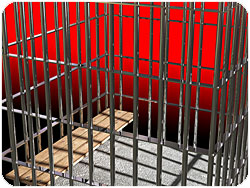 metal-cage.jpg