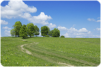 Farm.jpg