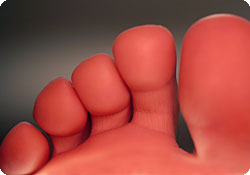 foot-1119598.jpg