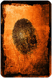 fingerprint_graphic.jpg