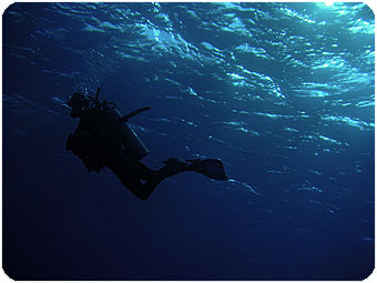 scuba_diving.jpg