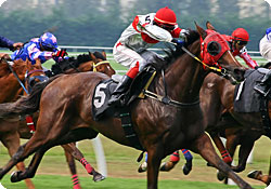 horse-race-tribunal-214836.jpg