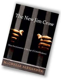 book_the_new_jim_crow_intro.jpg
