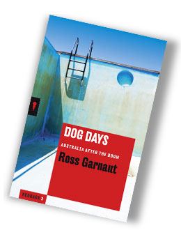 book-review-dog-days.jpg