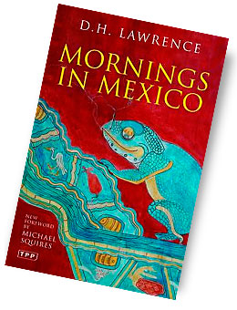 book_mornings_in_mexico.jpg